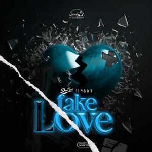 Fake Love (feat. Skidi) (Explicit)