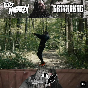 Greygound (Explicit)