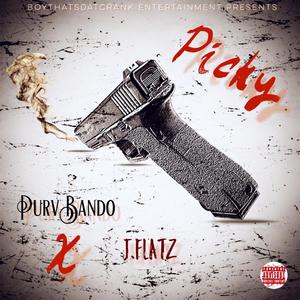 Picky(feat. J. Flatz) (Explicit)