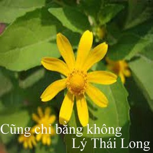 Cũng chỉ bằng không