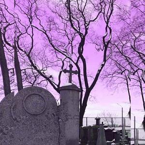 Shiloh-該靈魂已註銷 (A_akila remix)