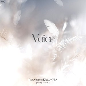 Voice (feat. Nozomi Kitay & KOTA)