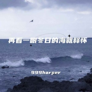 再看一眼冬日的海就释怀