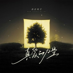 真爱的力量 (丹正母子版)