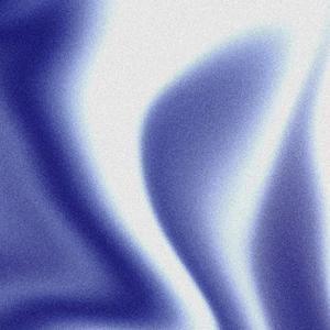 Fly  (feat. Halator & Tahiri) (slowed & reverb version)