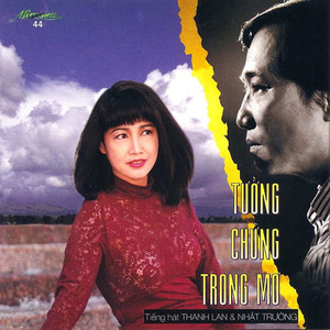 Tưởng Chừng Trong Mơ