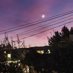 Desármame (feat. OwlyG & Dazanb) (Explicit)