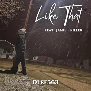 Like That (feat. Jamie Triller) (Explicit)