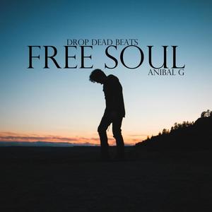 Free soul (Drop Dead Beats) [Chill Instrumental]