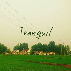Tranquil (Inst.)