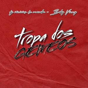 TROPA DOS GEMEOS
