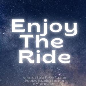 Enjoy The Ride (feat. Aziz Ibrahim) (Remix)