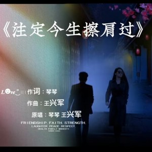 注定今生擦肩过