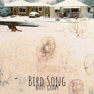 Bird Song