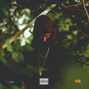 HSAK (feat. Big Mike YSE) (Explicit)