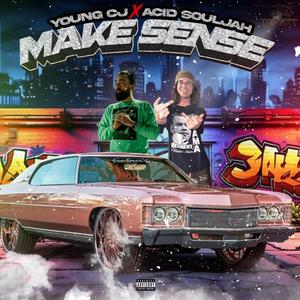 Make Sense (feat. Acid Souljah) [Explicit]