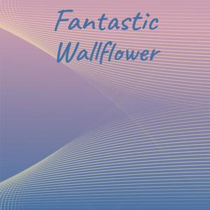 Fantastic Wallflower
