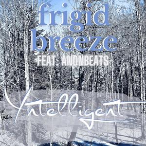 frigid breeze (feat. AnonBeats)