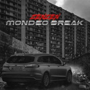 Mondeo break (Explicit)