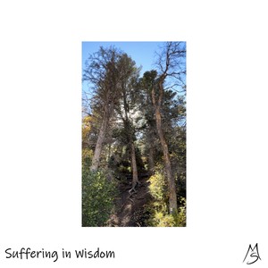 Suffering in Wisdom