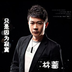 男人也为爱流泪 (DJ版)