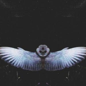 Delusion (feat. _Witchboy_) (Explicit)