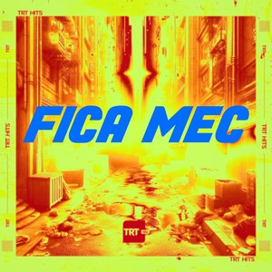 FICA MEC (Explicit)