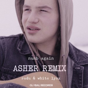 Numb Again (Asher Remix)