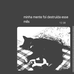 minha mente foi destruída esse mês (Explicit)