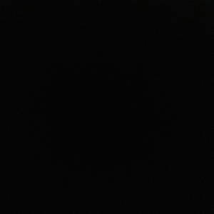 Fucc Tha Party Up (feat. Dbeezy) (Explicit)