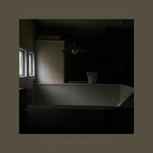 Gone Forever(Dead and Gone)