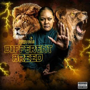 First Impression (Explicit)