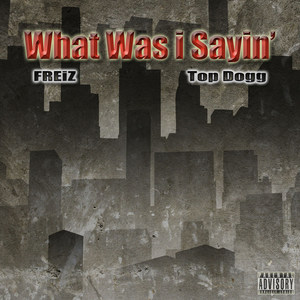 What Was I Sayin'(feat. Top Dogg) (Explicit)