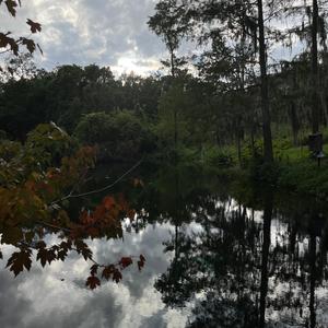 ISSAPARTYINTHESOUTH (feat. J9ine) (Explicit)