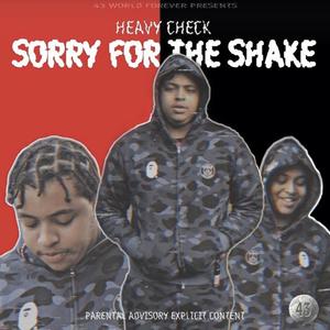 Sorry For The Shake (Explicit)