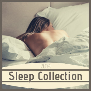 2019 Sleep Collection - REM Deep Sleep Inducing Instrumental Music