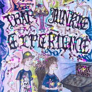TRAP JUNKIE EXPERIENCE (Explicit)