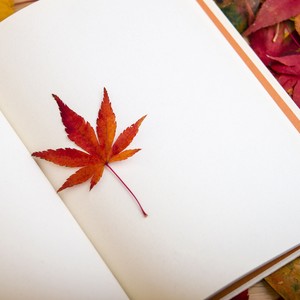 偷偷爱着你 (Demo)