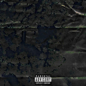 you're a loser and everyone laughs at you (Explicit)