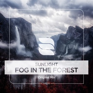 Fog In The Forest