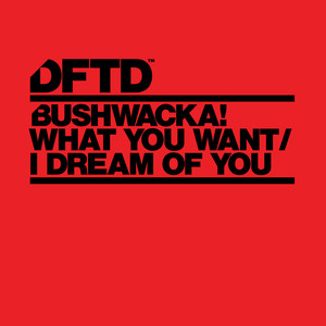 What You Want (Extended Mix)