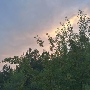 农安姑娘，我是那么的爱你demo (Demo)