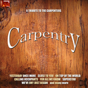 Carpentry. Tribute to the Carpenters