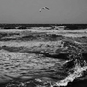 Why Would i Ever-星川