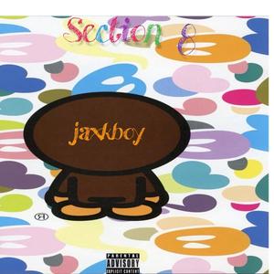 Section 8 (Explicit)