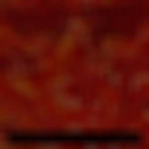 Tampering With Evidence (feat. Fetophagia)