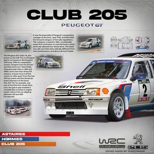 CLUB 205 (SLOWED) (feat. H3RMES)