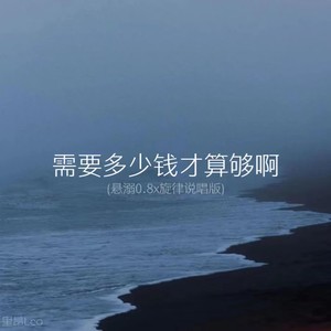 需要多少钱才算够啊 (悬溺0.8x旋律说唱版)