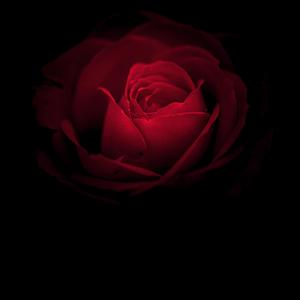 Don't Play(Interlude)[feat. Faith]