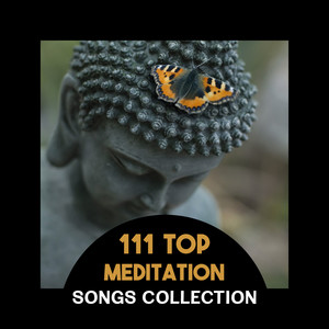 111 Top Meditation Songs Collection – Restorative Yoga Breathing Exercises, Calming Nature Sounds from Zen Garden